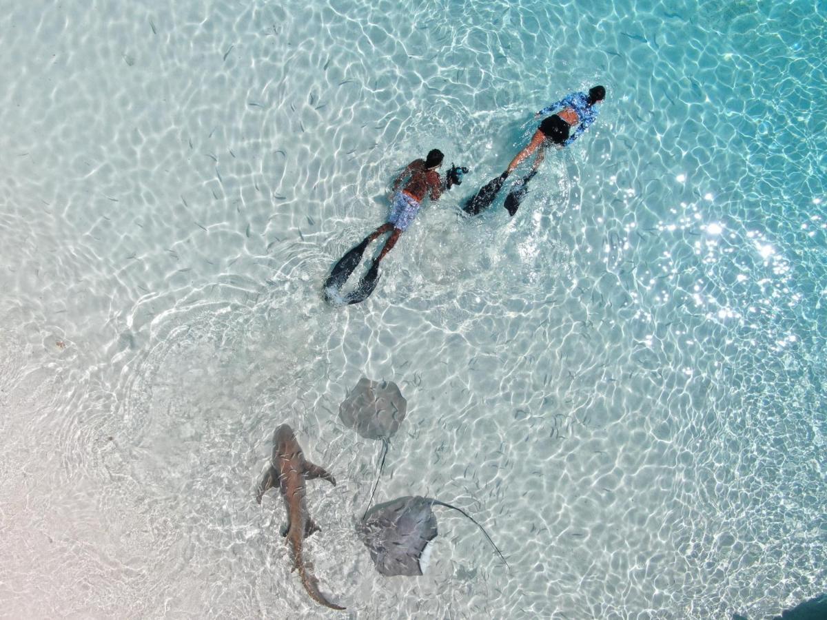 Oceana Boutique Maafushi Exterior foto